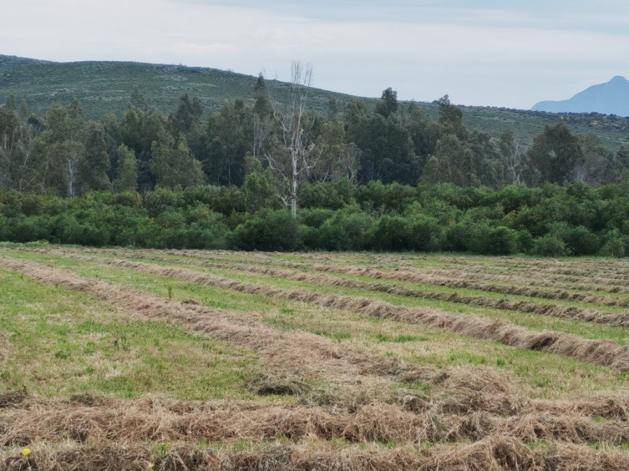 0 Bedroom Property for Sale in Worcester Rural Western Cape